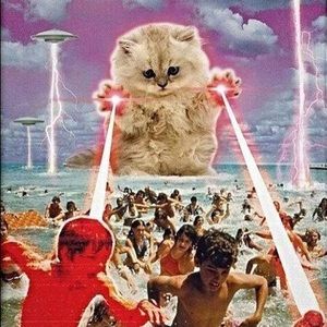 Meet your Posher, Wayne